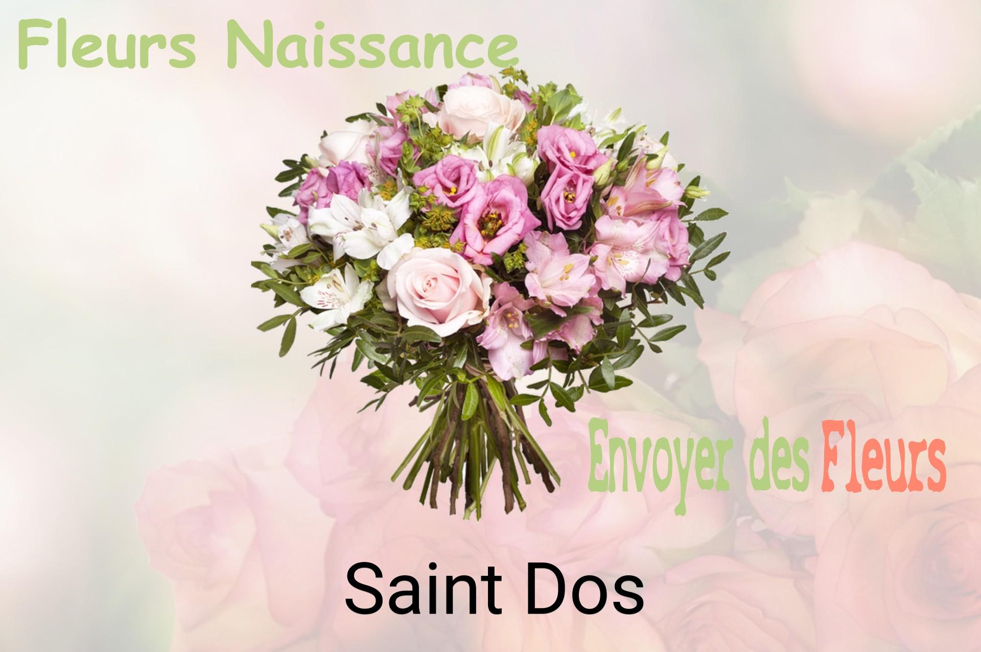Bouquet de fleurs de naissance livré à Saint-Dos
